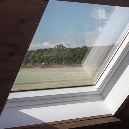 Holiday home De Lammersdamhoeve Wingene